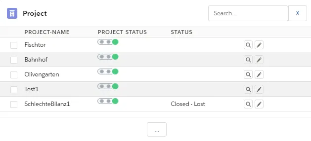 Labels of user-defined names under Setup → Custom Labels